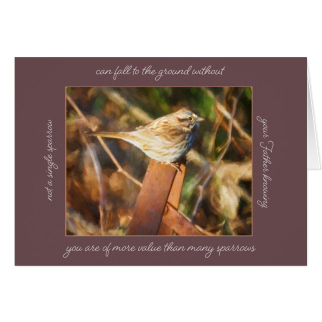 Sparrow falls Parakaleo note card (Front Horizontal)