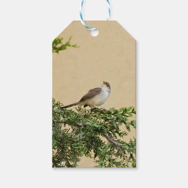Sparrow  gift tags (Front)