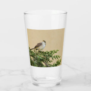 Sparrow glass