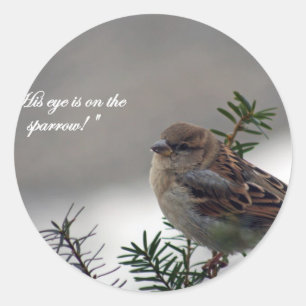 Sparrow, His eye is on the Sparrow! Classic Round Sticker