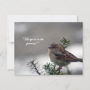 Sparrow, His eye is on the Sparrow! Holiday Card