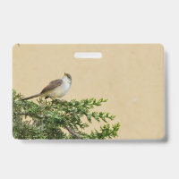 Sparrow