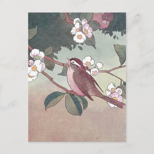 Sparrow in Flowering Apple Tree Postcard (Front)