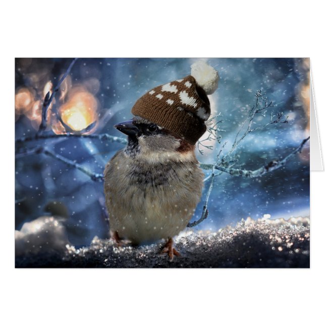 Sparrow in Snow Hat Christmas Card (Front Horizontal)