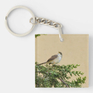 Sparrow key ring