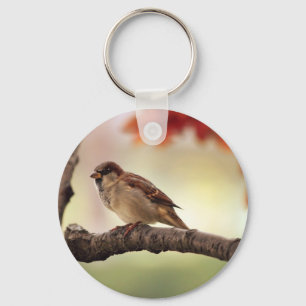 sparrow key ring