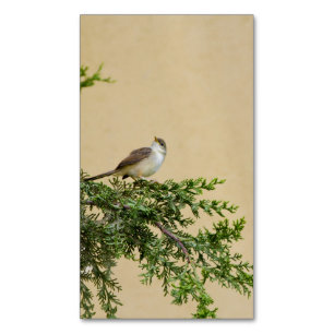 Sparrow Magnetic business card