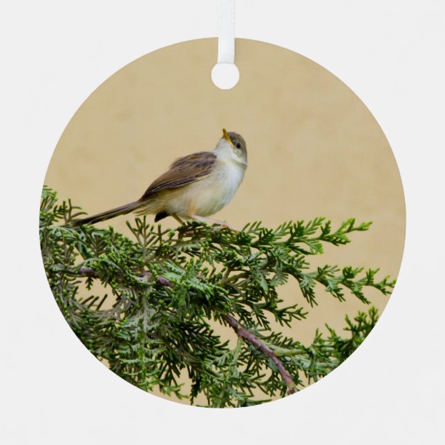 Sparrow  metal tree decoration (Front)