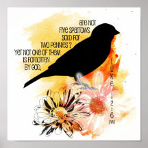 Sparrow Not Forgotten Canvas Print
