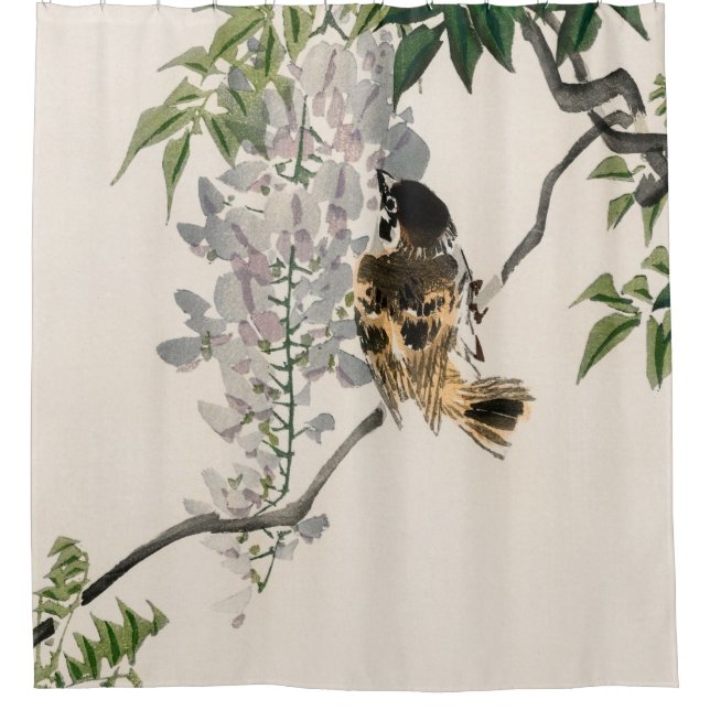 Sparrow on a branch by Kōno Bairei Shower Curtain (Front)