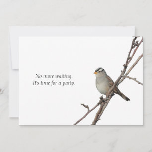 Sparrow on a branch Party Invitation