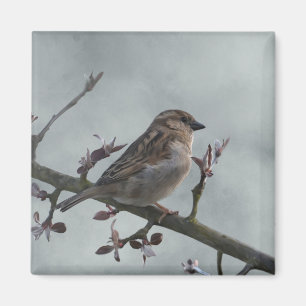 Sparrow on Branch Photo Magnet