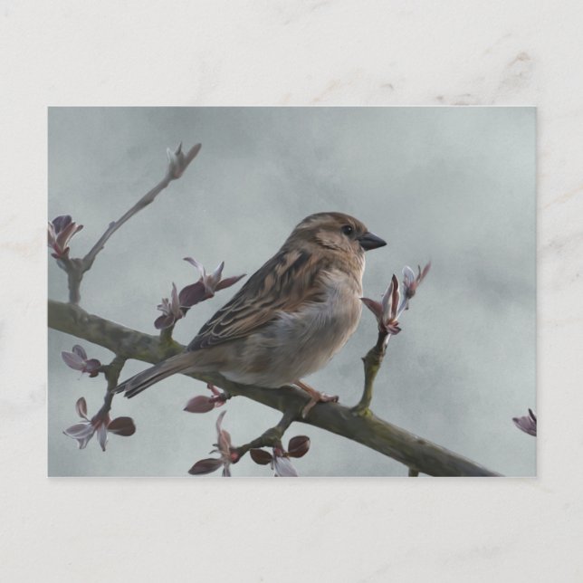 Sparrow on Branch Postcard (Front)