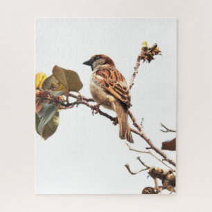 Sparrow on Branch Puzzle