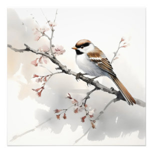 Sparrow on Spring Branch Photo Print