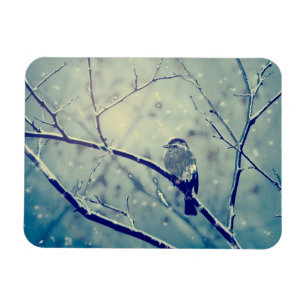 Sparrow on the snowy branch magnet