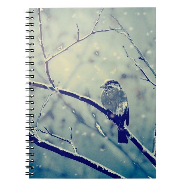 Sparrow on the snowy branch notebook (Front)