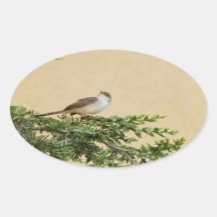 Sparrow oval sticker