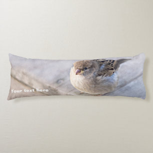 Sparrow - Overweight Body Cushion