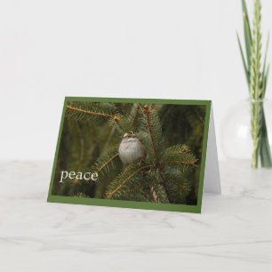 sparrow peace holiday card
