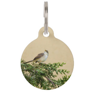 Sparrow pet tag