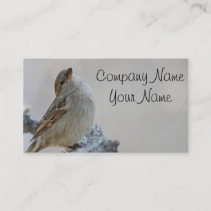 Sparrow photo business card