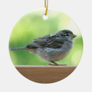 Sparrow photo ceramic tree decoration