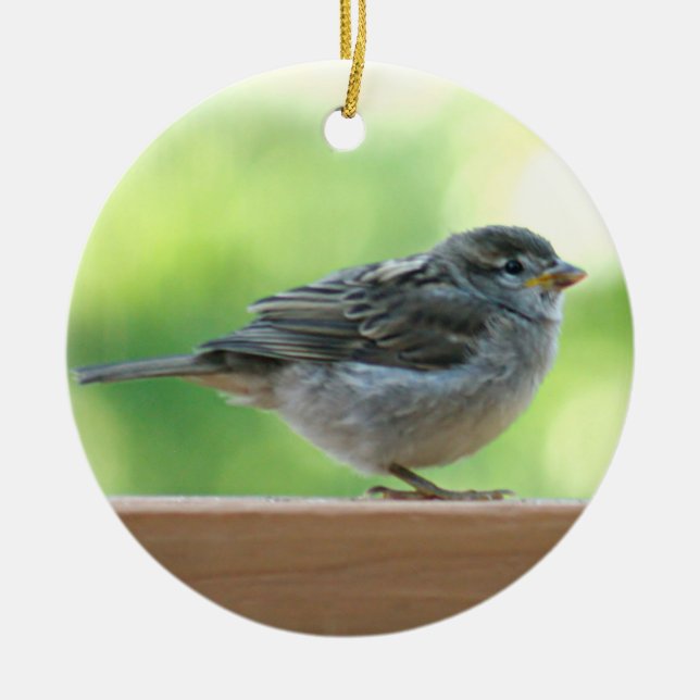Sparrow photo ceramic tree decoration (Front)