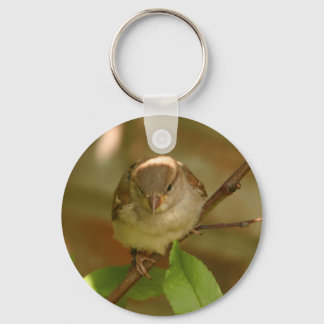 Sparrow Photo Key Ring