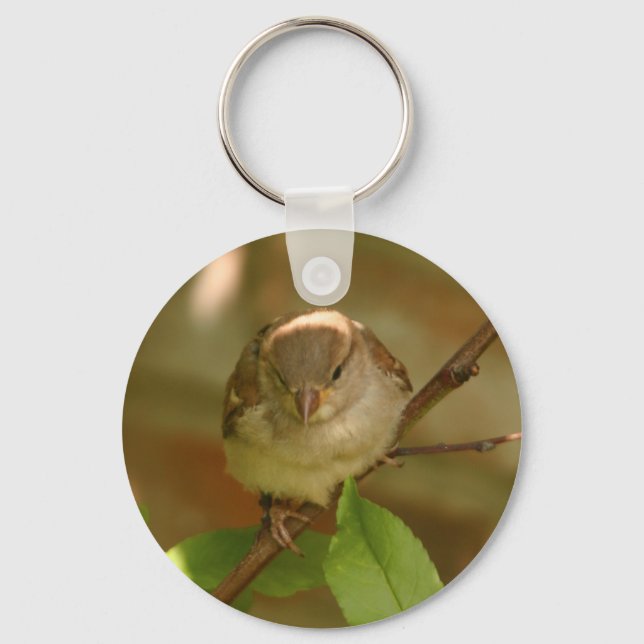 Sparrow Photo Key Ring (Front)