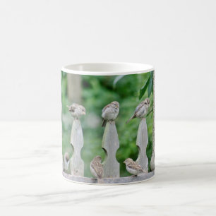 Sparrow photography coffee mug