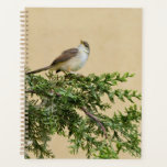 Sparrow  planner<br><div class="desc">Cute Brown Sparrow on a tree branch</div>