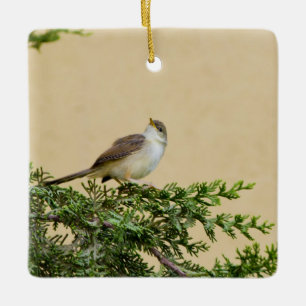 Sparrow Postcard Ceramic Ornament