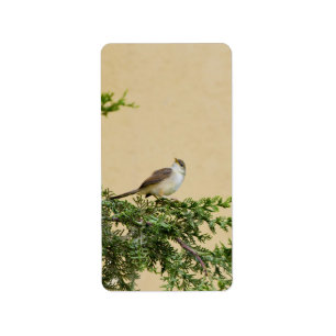 Sparrow Postcard Label