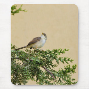 Sparrow Postcard Mouse Pad