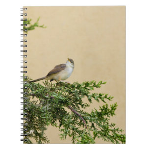 Sparrow Postcard Notebook