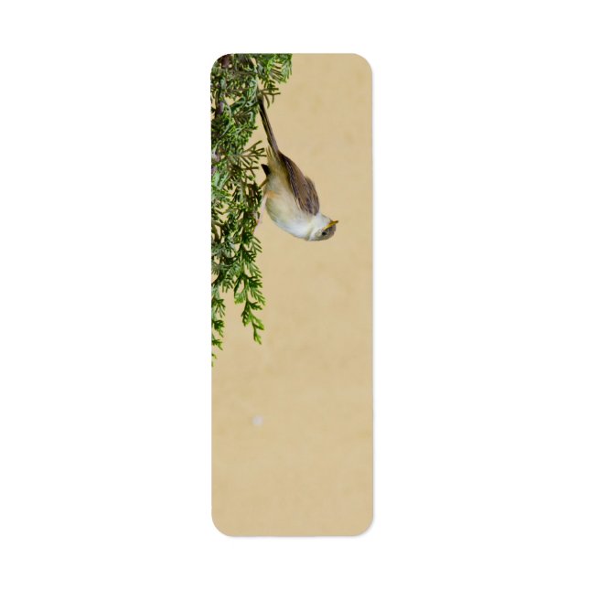 Sparrow Postcard Return Address Label (Front)