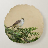 Sparrow 