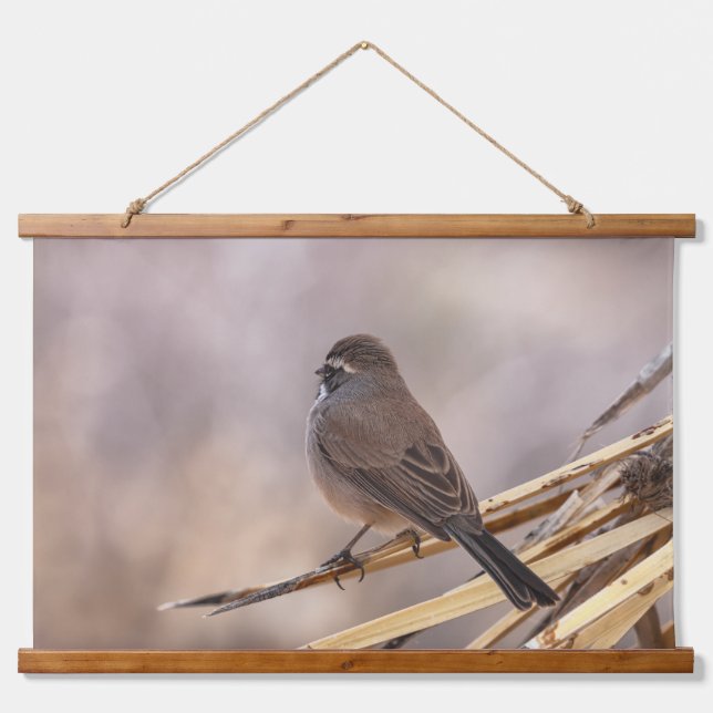 Sparrow Seen From Behind  Hanging Tapestry (Front)