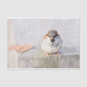 Sparrow - The Warrior Tissue Paper