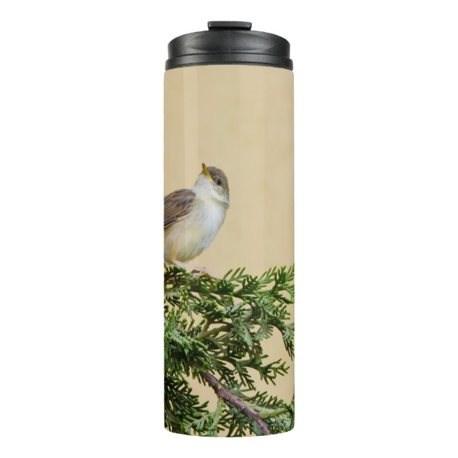 Sparrow  thermal tumbler (Front)