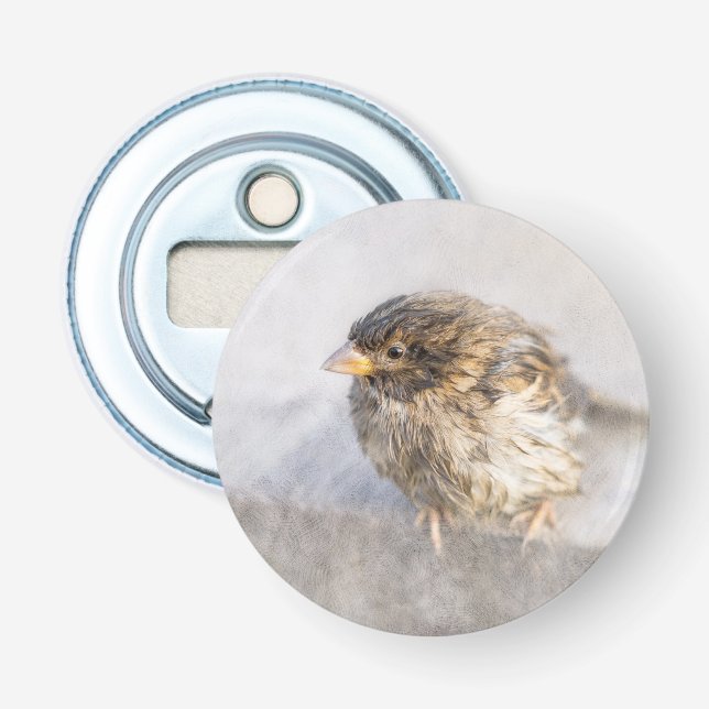 Sparrow - Weather Forecast Epic Fail Bottle Opener (Front)