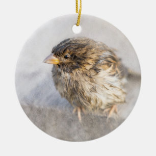 Sparrow - Weather Forecast Epic Fail Ceramic Tree Decoration