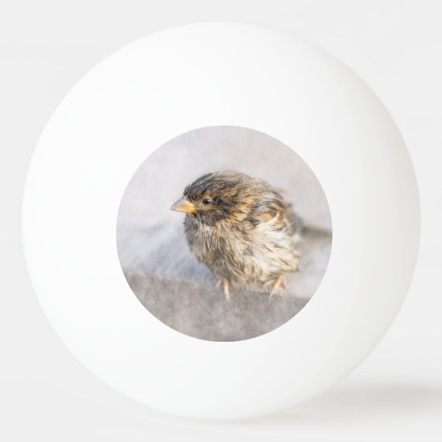 Sparrow - Weather Forecast Epic Fail Ping Pong Ball (Front)