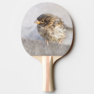 Sparrow - Weather Forecast Epic Fail Ping Pong Paddle