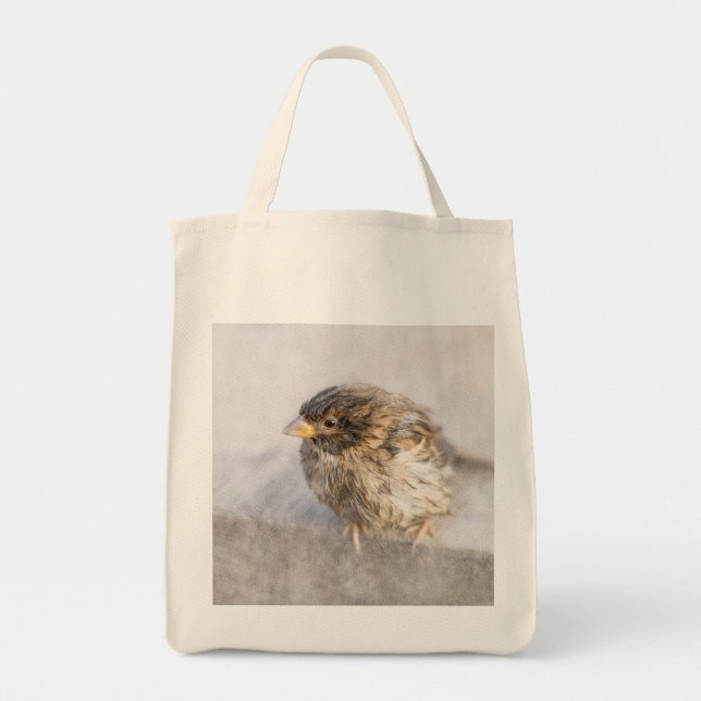 Sparrow - Weather Forecast Epic Fail Tote Bag (Front)