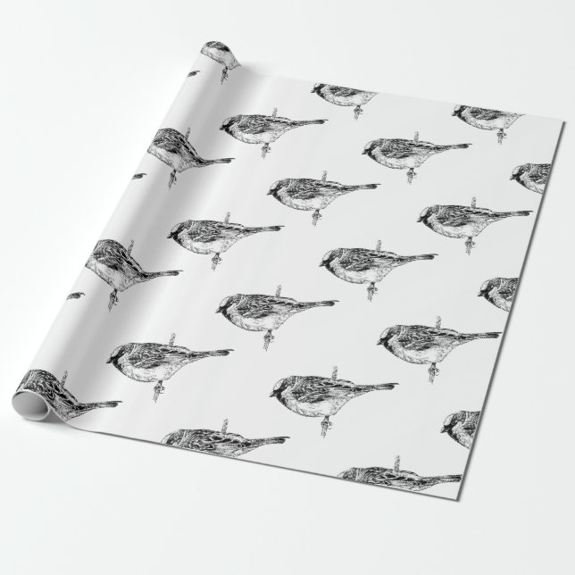 Sparrow Wrapping Paper (Unrolled)