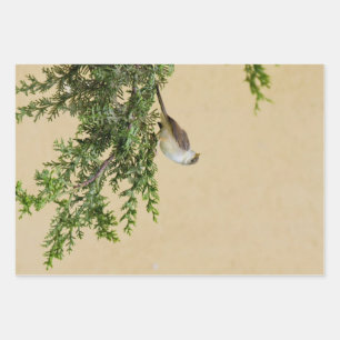 Sparrow  wrapping paper sheet