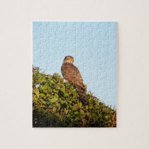 Sparrowhawk Jigsaw Puzzle