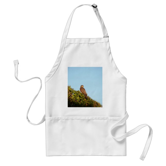 Sparrowhawk Standard Apron (Front)